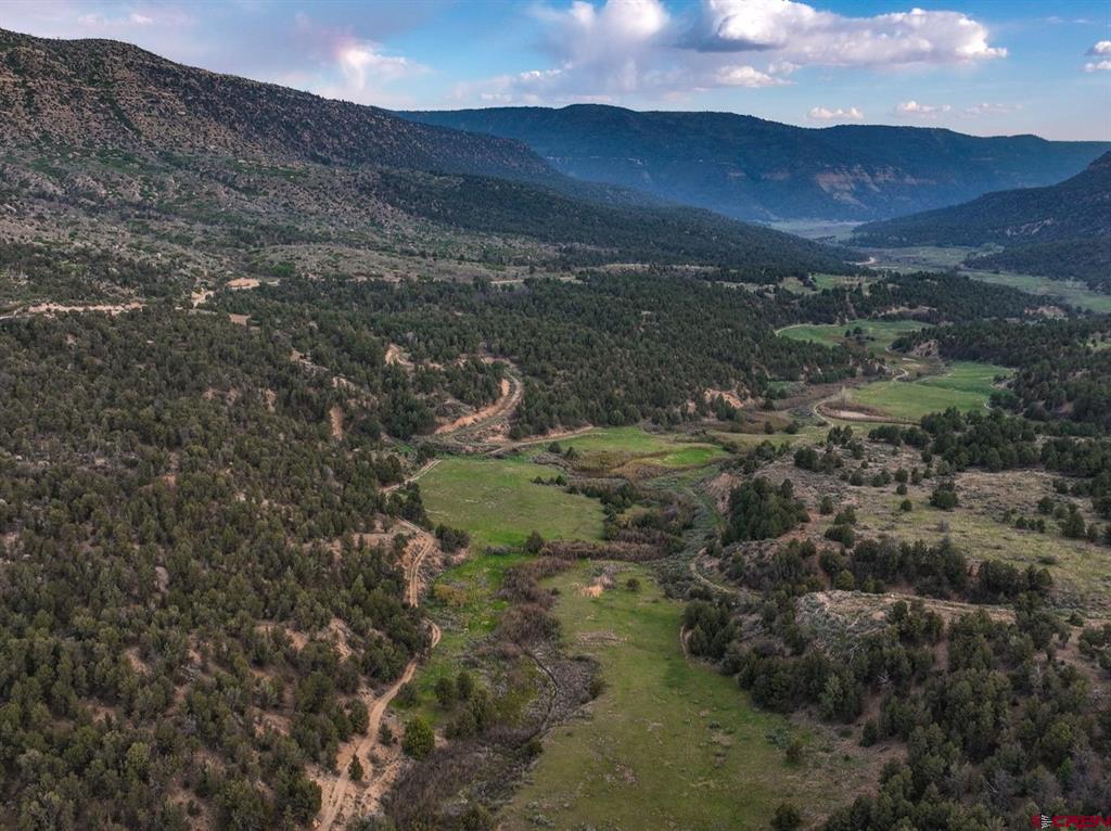 3217 County Road 41 Mancos CO 81328