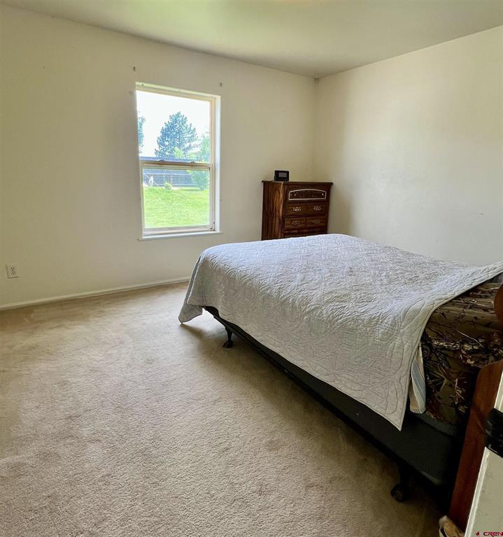 1098 Normandy Road Montrose CO 81403