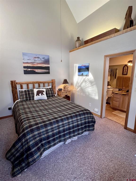 88 W Peregrine Circle Pagosa Springs CO 81147