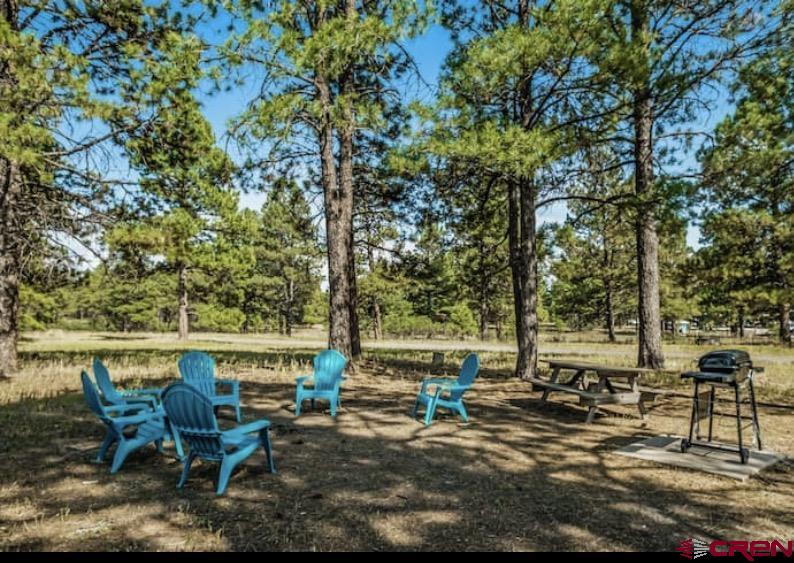 88 W Peregrine Circle Pagosa Springs CO 81147