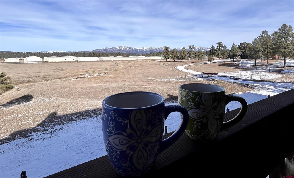 88 W Peregrine Circle Pagosa Springs CO 81147