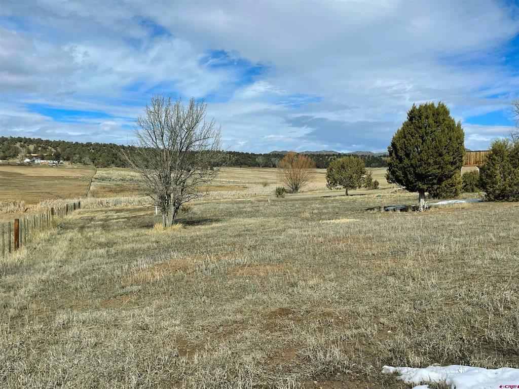 8866 State Highway 151 Ignacio CO 81137