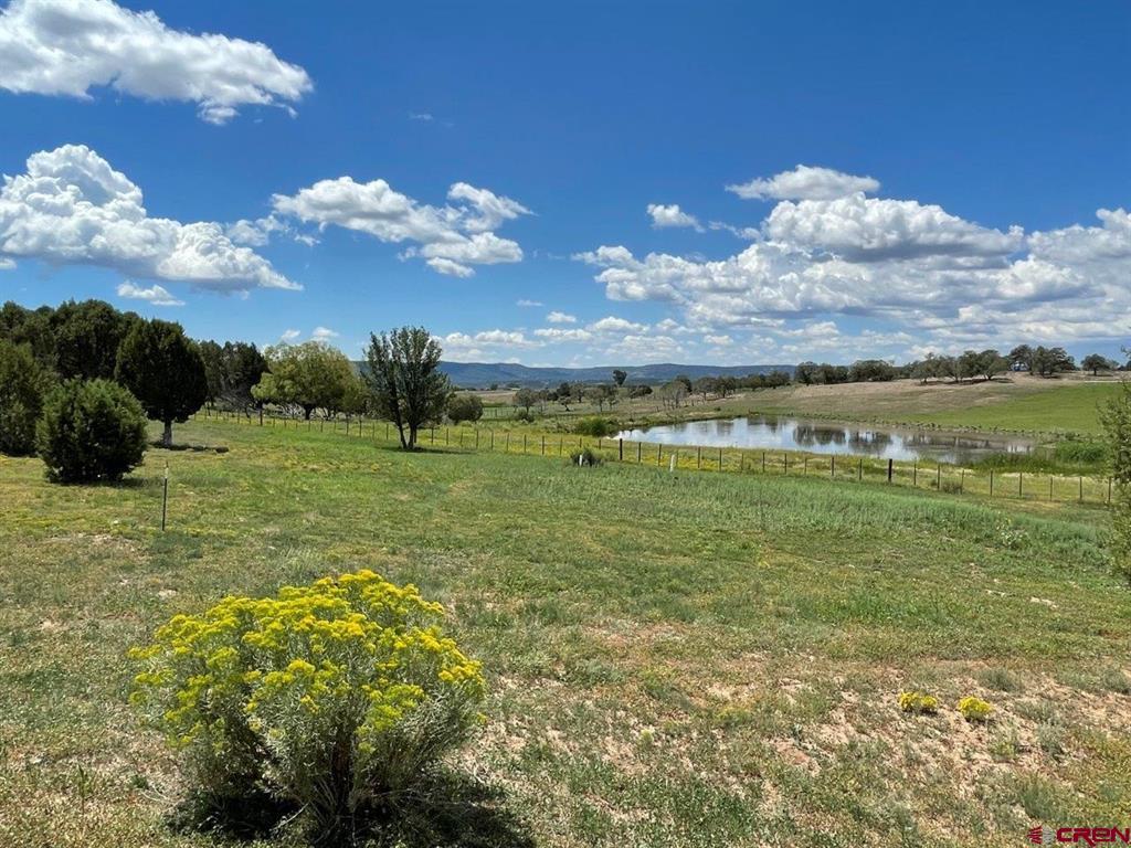 8866 State Highway 151 Ignacio CO 81137