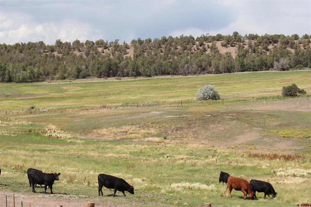 8866 State Highway 151 Ignacio CO 81137