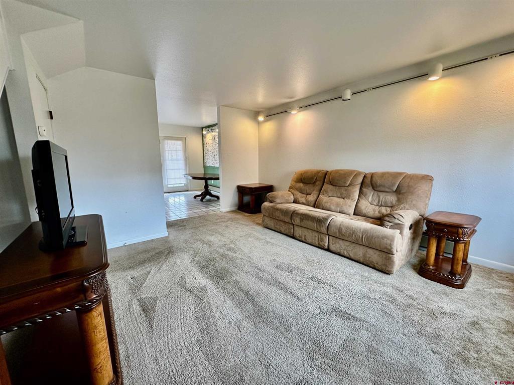 144 Curecanti Drive Gunnison CO 81230
