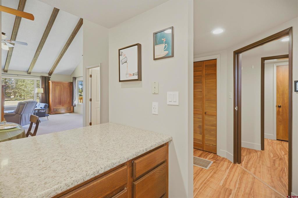 247 Davis Cup Pagosa Springs CO 81147