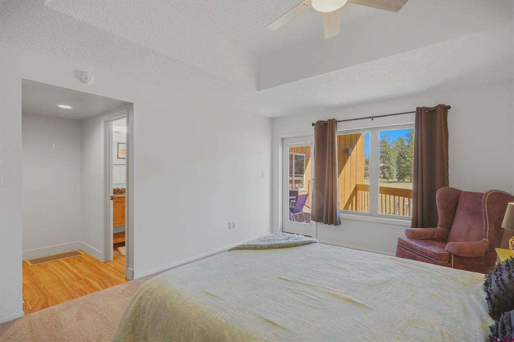 247 Davis Cup Pagosa Springs CO 81147