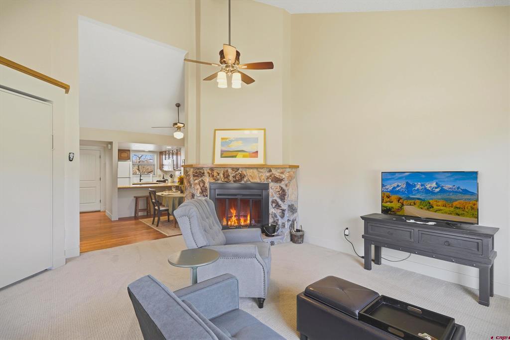 247 Davis Cup Pagosa Springs CO 81147