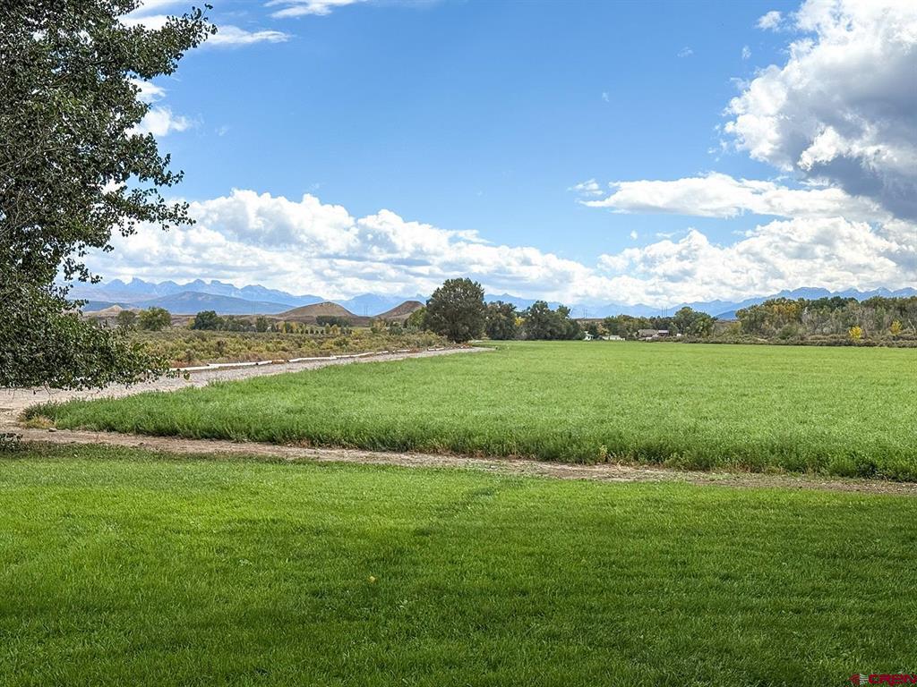 66356 Otter Road Montrose CO 81403