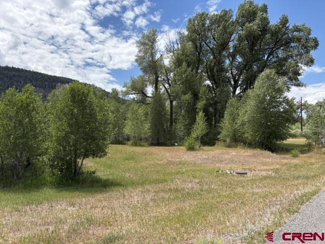 104 W Riverside Court South Fork CO 81154