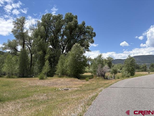 104 W Riverside Court South Fork CO 81154