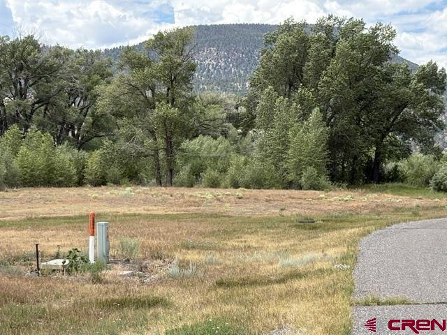 104 W Riverside Court South Fork CO 81154
