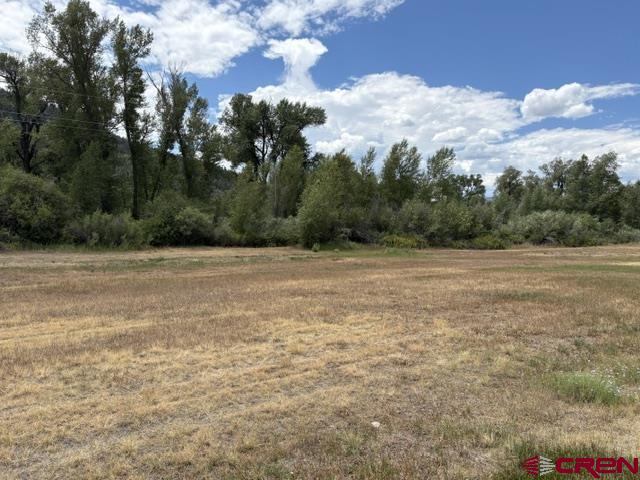 104 W Riverside Court South Fork CO 81154