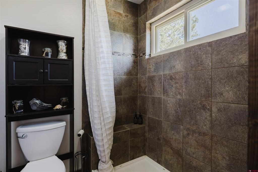 395 Rainbow Drive Pagosa Springs CO 81147