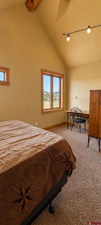 6835 Master's Drive South Fork CO 81154