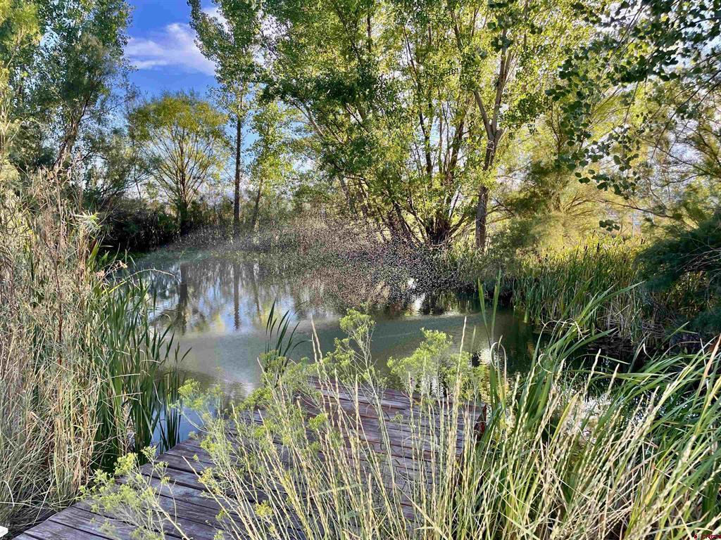 21043 Road C.7 Cortez CO 81321