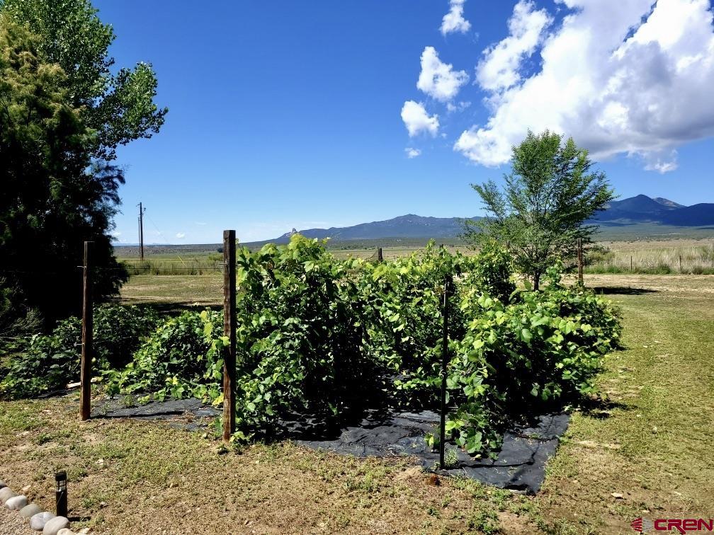 21043 Road C.7 Cortez CO 81321