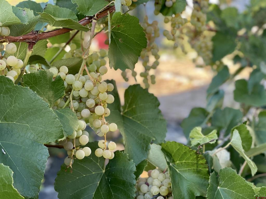 21043 Road C.7 Cortez CO 81321