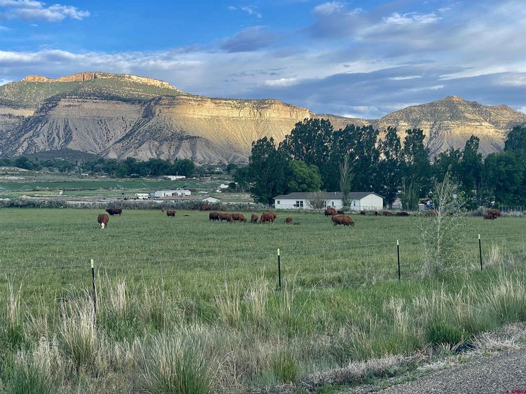 21043 Road C.7 Cortez CO 81321