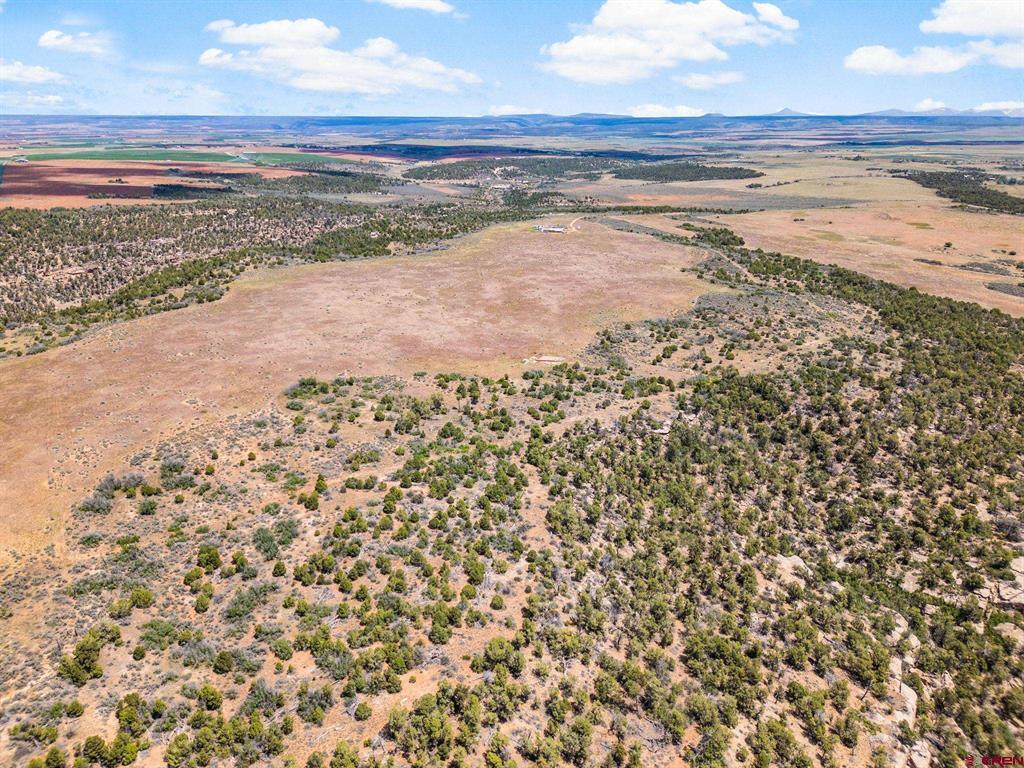 23755 Road 15.5 Yellow Jacket CO 81335