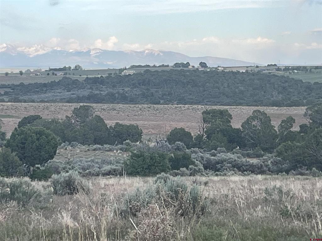23755 Road 15.5 Yellow Jacket CO 81335