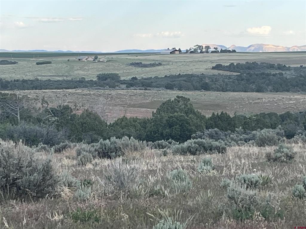 23755 Road 15.5 Yellow Jacket CO 81335