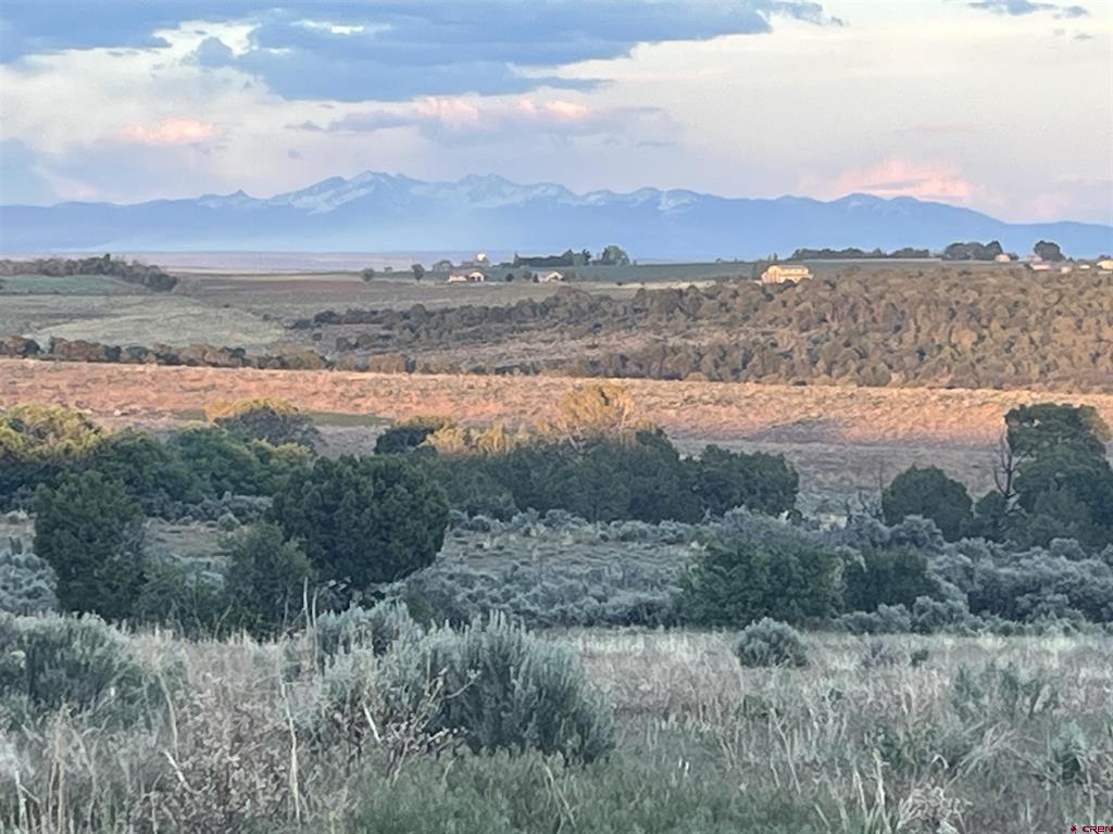 23755 Road 15.5 Yellow Jacket CO 81335