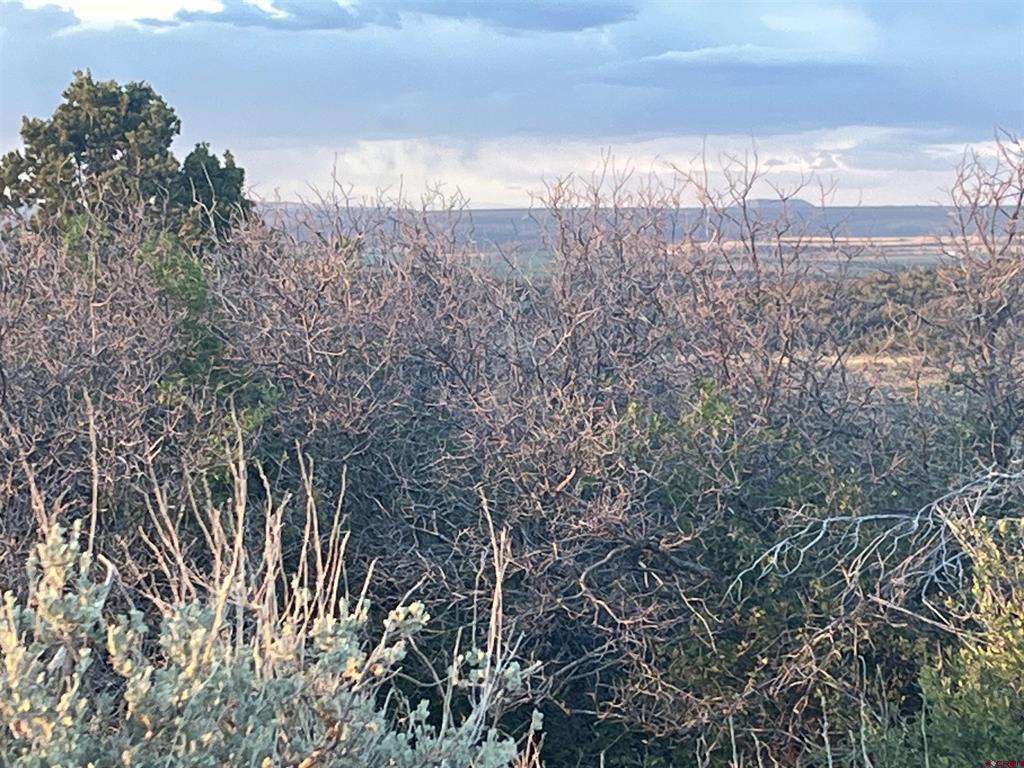 23755 Road 15.5 Yellow Jacket CO 81335