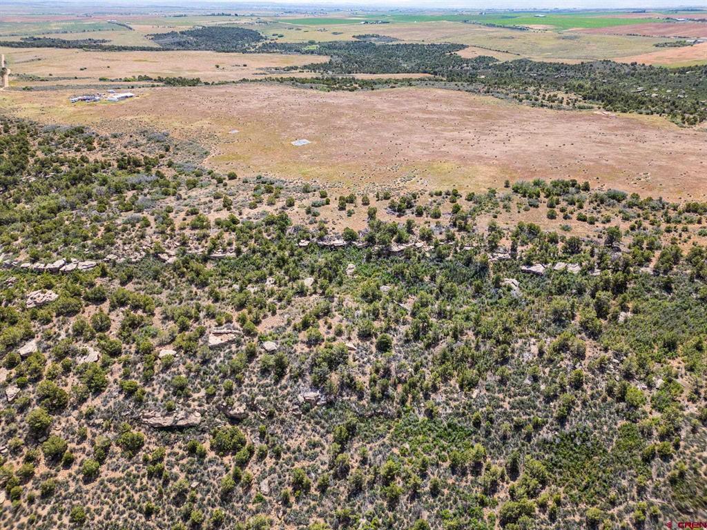 23755 Road 15.5 Yellow Jacket CO 81335