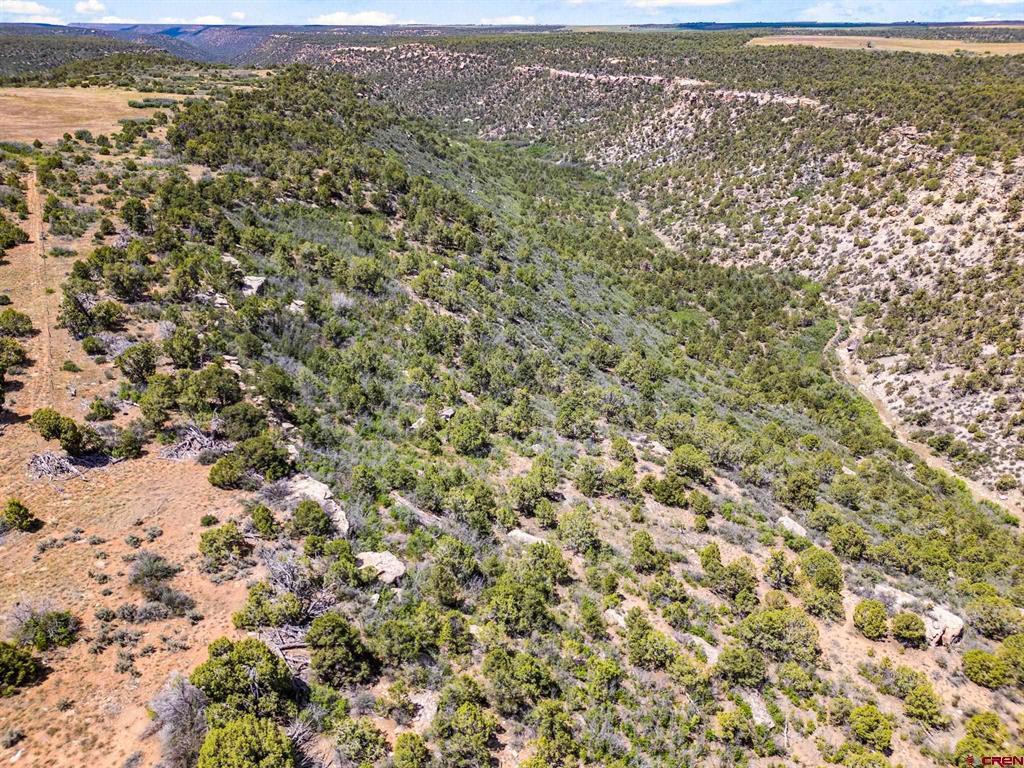 23755 Road 15.5 Yellow Jacket CO 81335