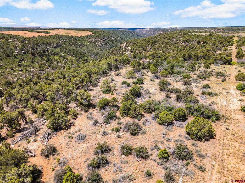 23755 Road 15.5 Yellow Jacket CO 81335