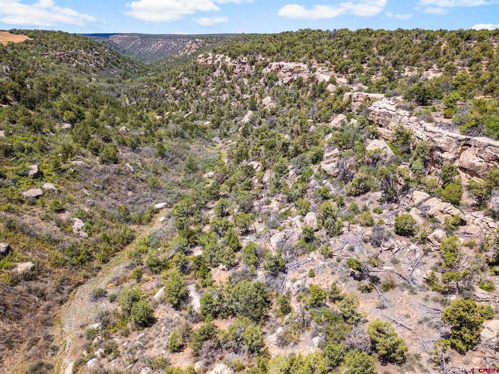 23755 Road 15.5 Yellow Jacket CO 81335