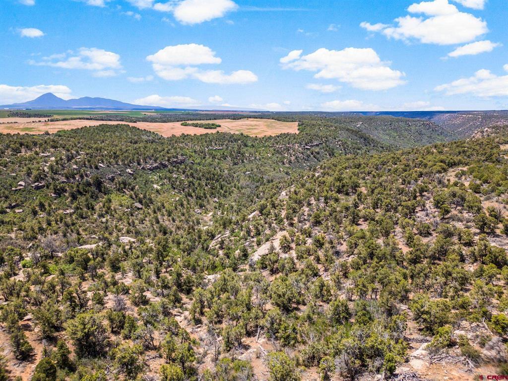 23755 Road 15.5 Yellow Jacket CO 81335