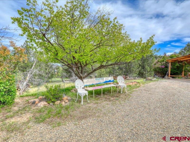 274 Deer Park Arboles CO 81121