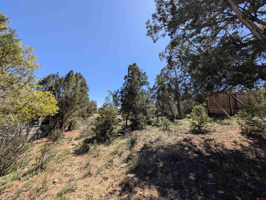 274 Deer Park Arboles CO 81121