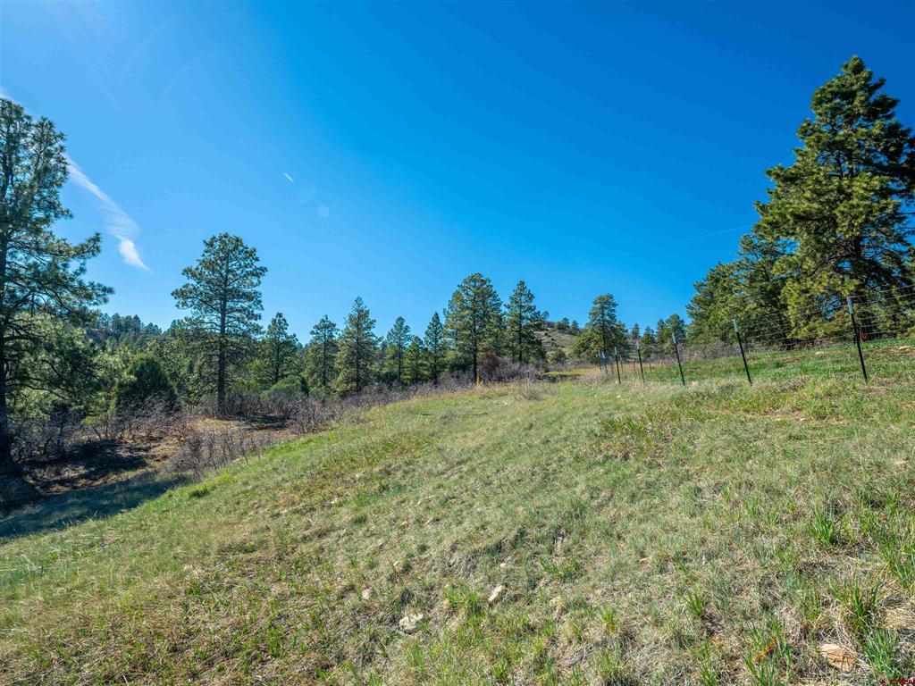 2125 Cr 125 Hesperus CO 81326