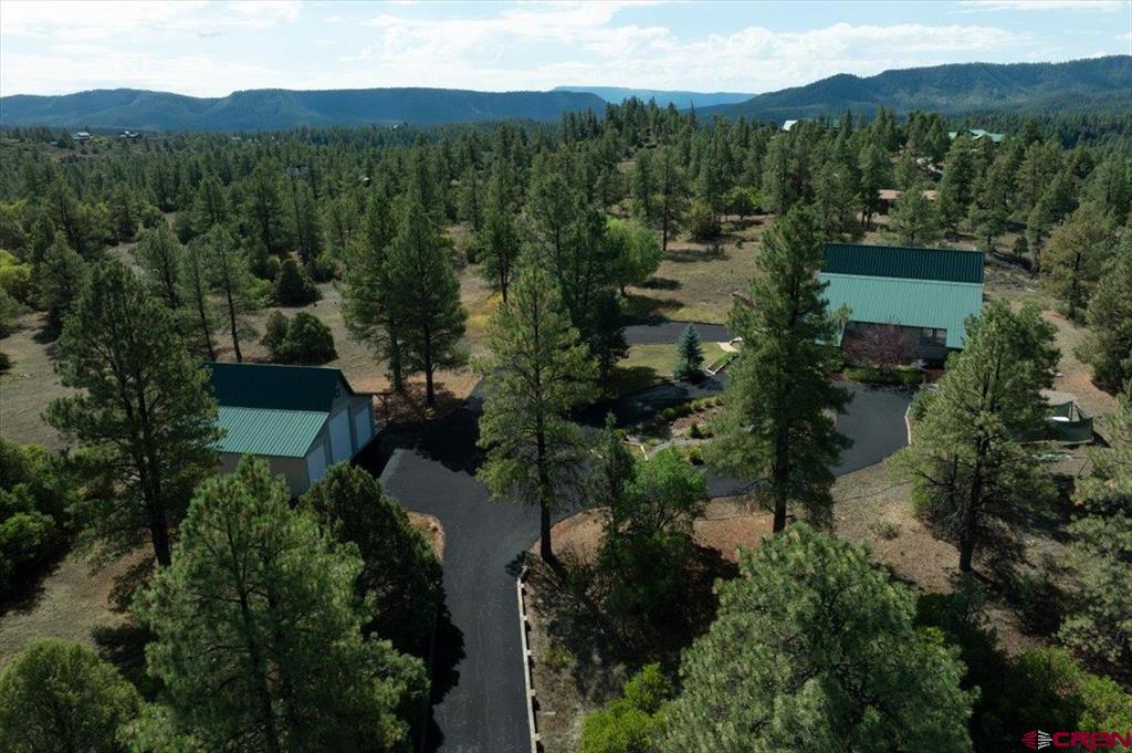 2913 Meadows Drive Pagosa Springs CO 81147