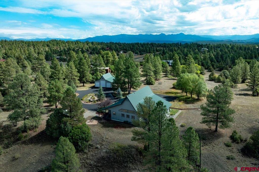 2913 Meadows Drive Pagosa Springs CO 81147
