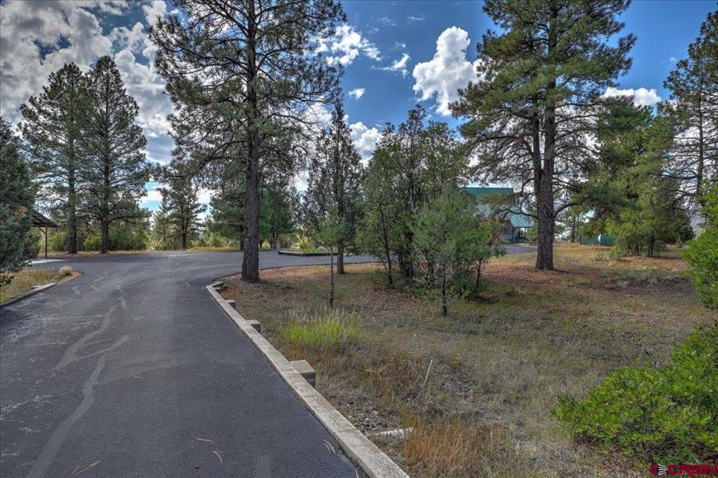 2913 Meadows Drive Pagosa Springs CO 81147
