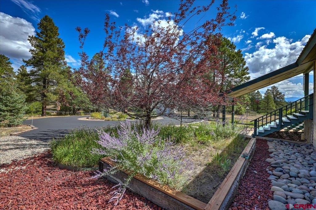 2913 Meadows Drive Pagosa Springs CO 81147