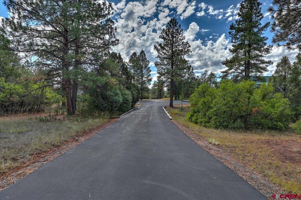 2913 Meadows Drive Pagosa Springs CO 81147