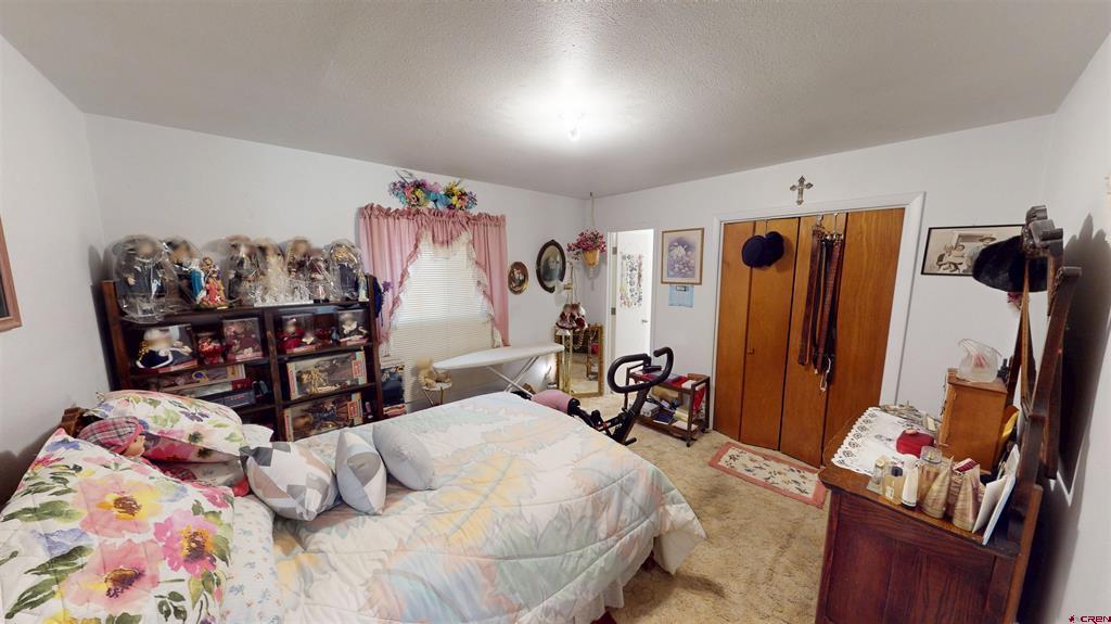 5355 Road 5.3 South Alamosa CO 81101