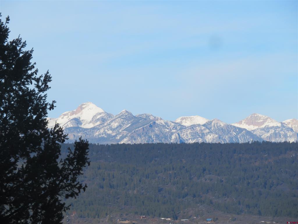 940 Carol's Curves Pagosa Springs CO 81147