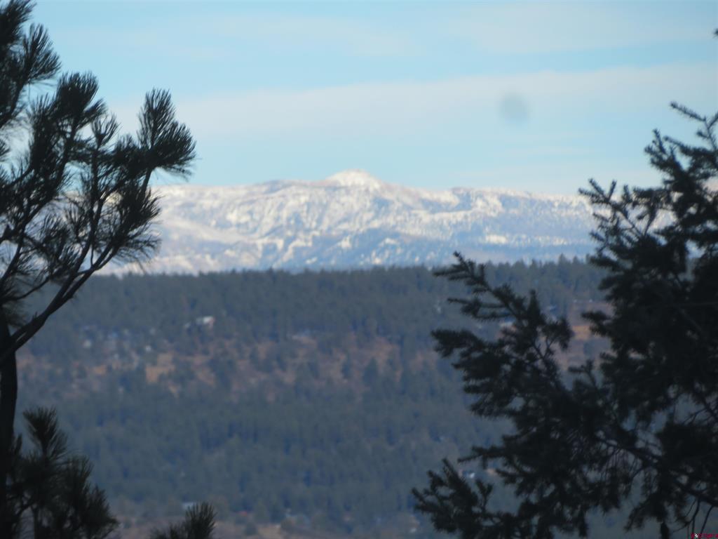 940 Carol's Curves Pagosa Springs CO 81147