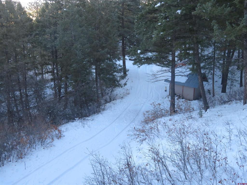 940 Carol's Curves Pagosa Springs CO 81147