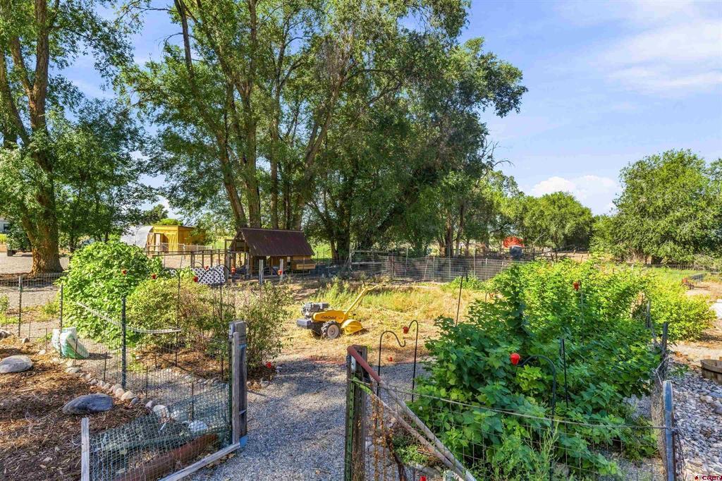 13857 6100 Road Montrose CO 81403