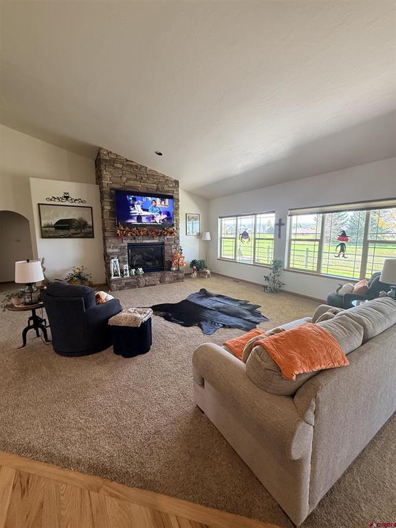 3812 Lone Tree Lane Montrose CO 81403
