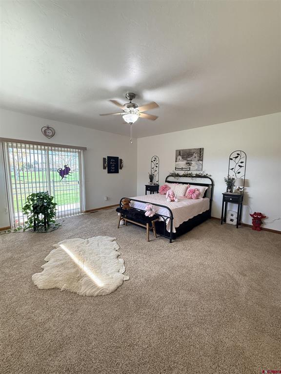 3812 Lone Tree Lane Montrose CO 81403