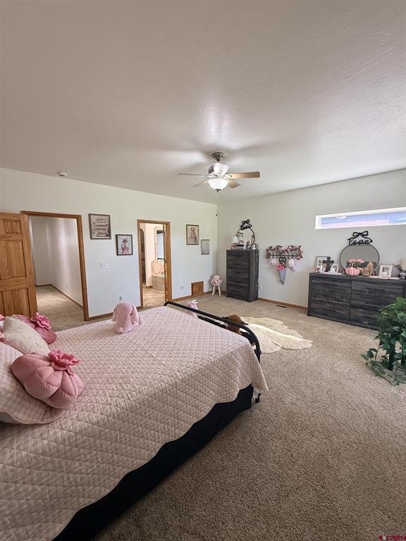 3812 Lone Tree Lane Montrose CO 81403