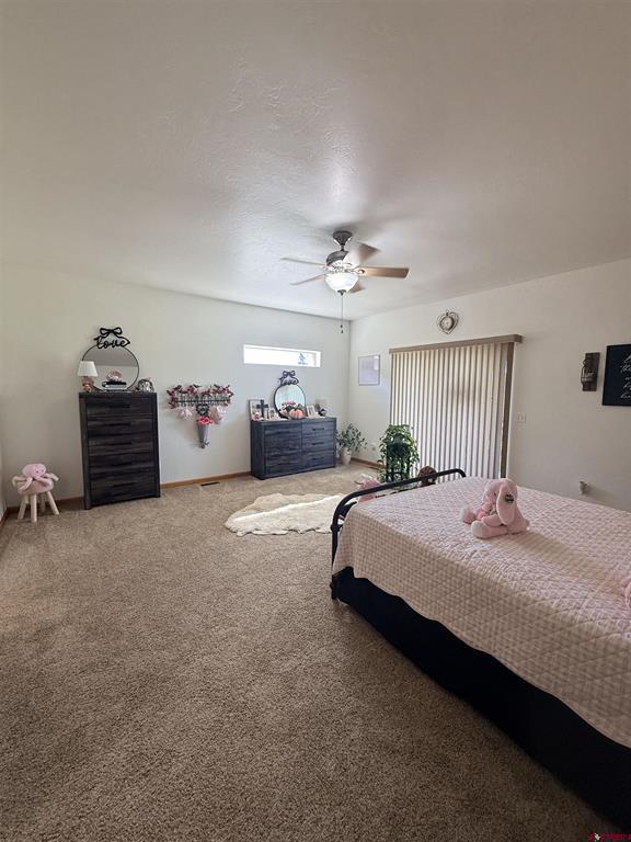 3812 Lone Tree Lane Montrose CO 81403